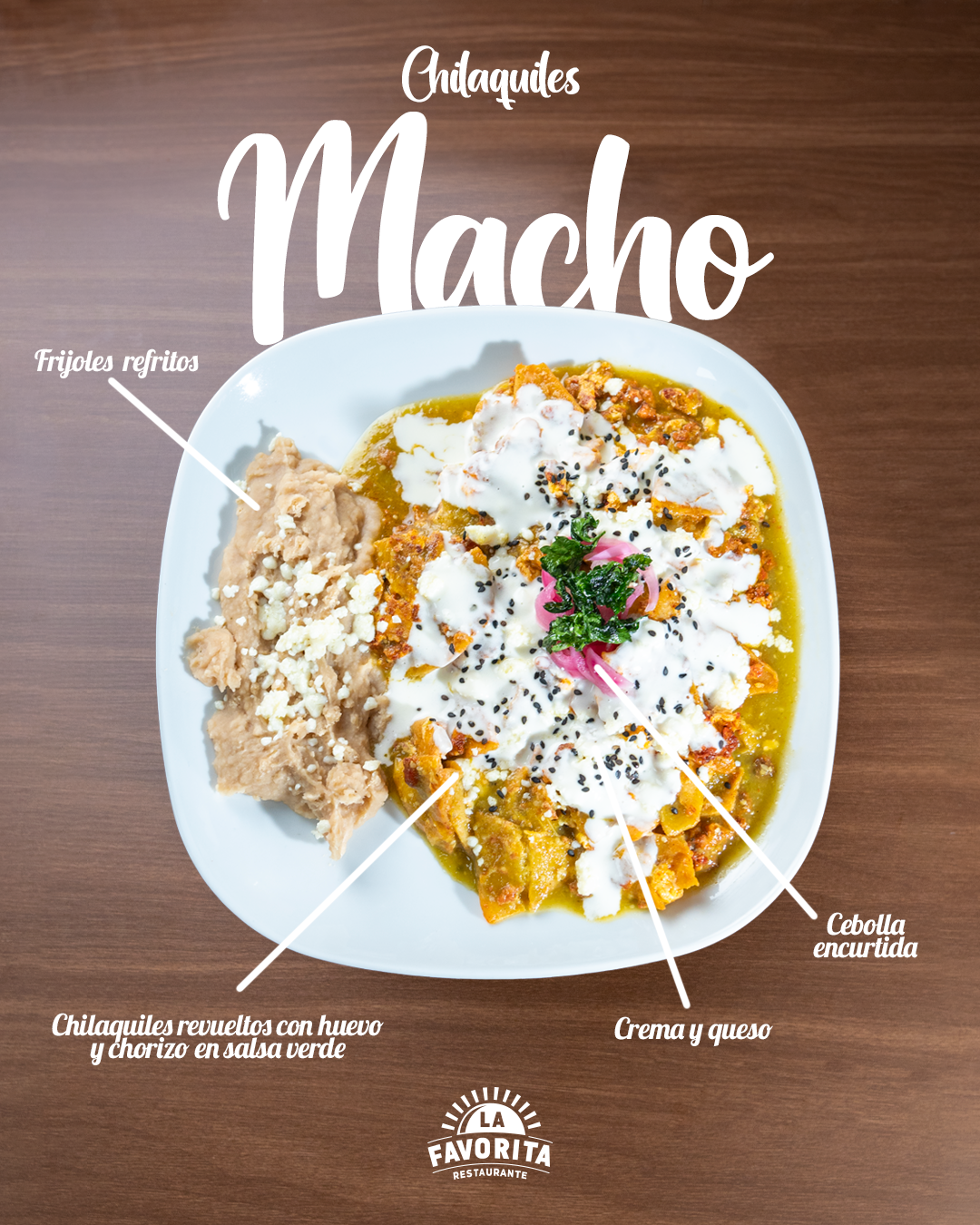 CHILAQUILES MACHO