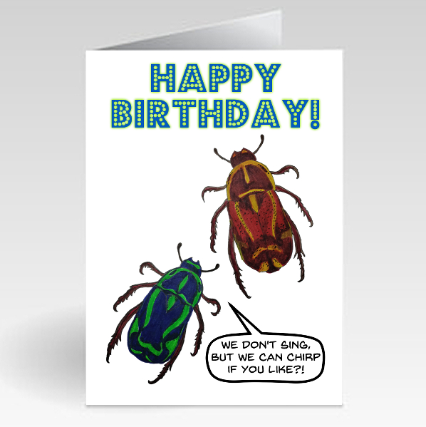 Beetles (Sing) - Birthday
