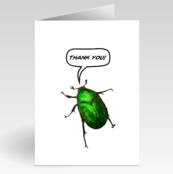 Beetle (Green) - Thank You