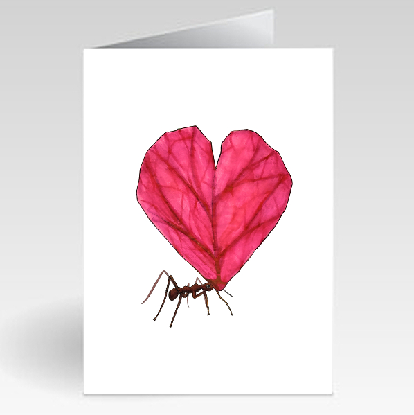 Ant - Love