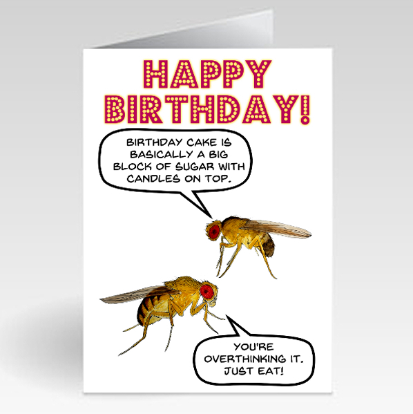 Fruit Flies - Birthday