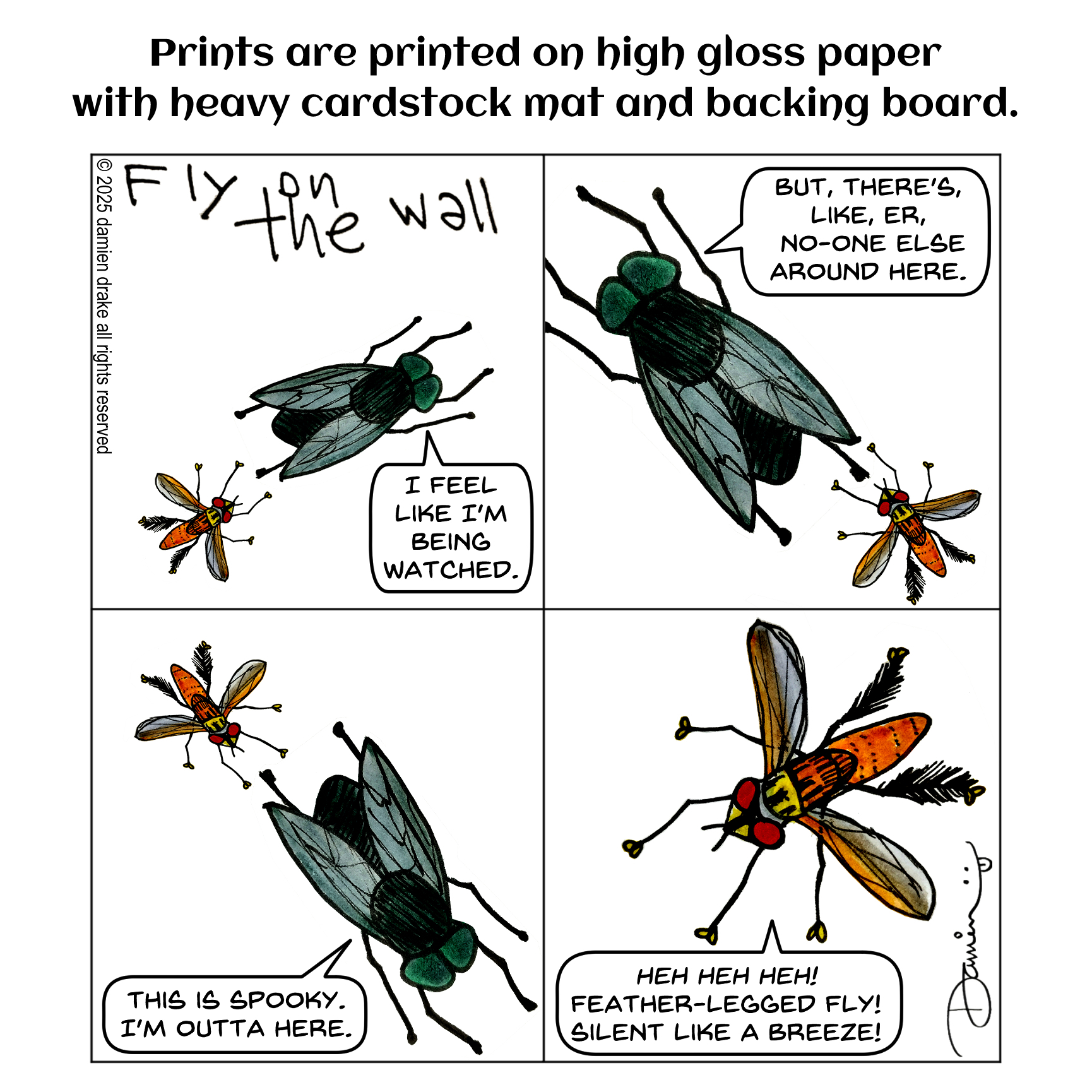 Fly on The Wall - Prints