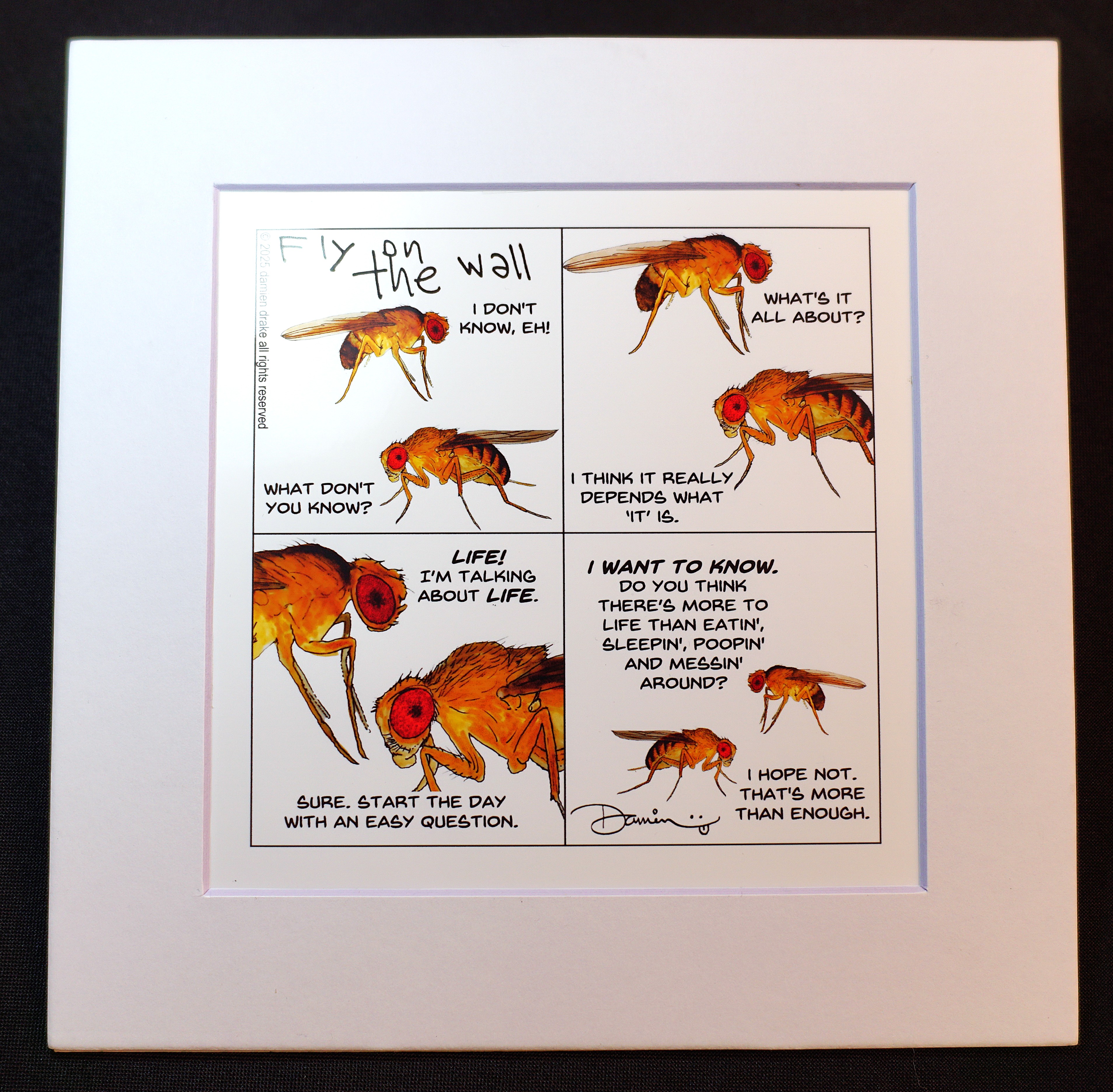 Fly on The Wall - Prints