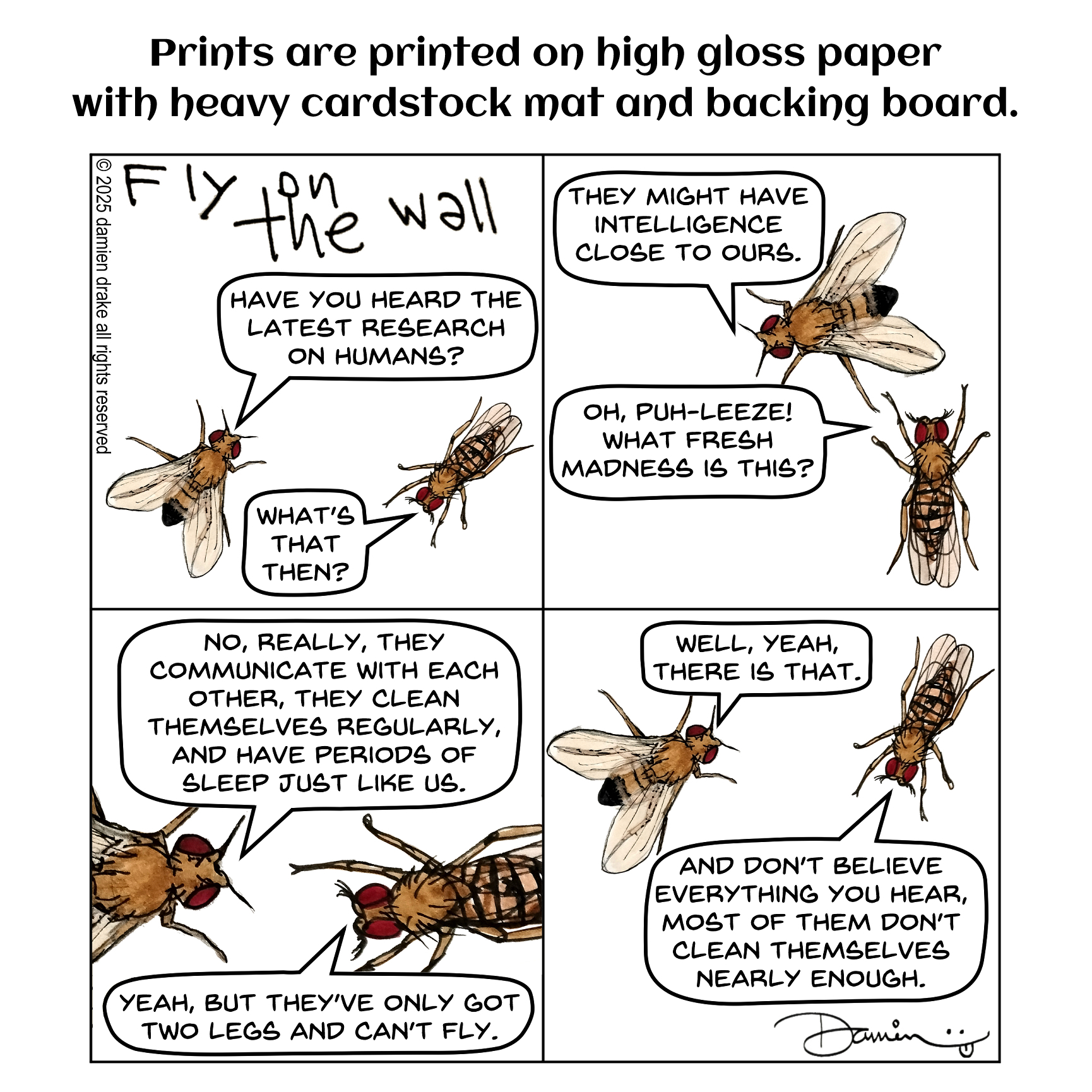 Fly on The Wall - Prints