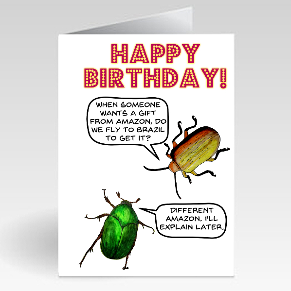 Beetles (Amazon) - Birthday