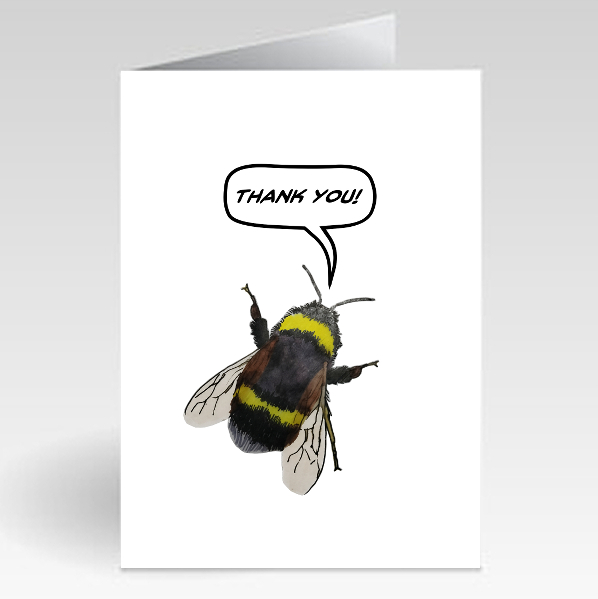 Bee - Thank You
