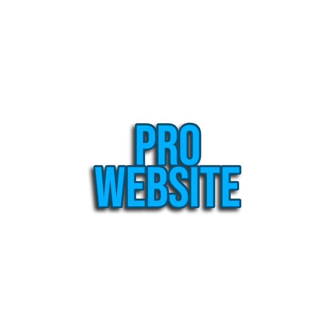 Professional Website 