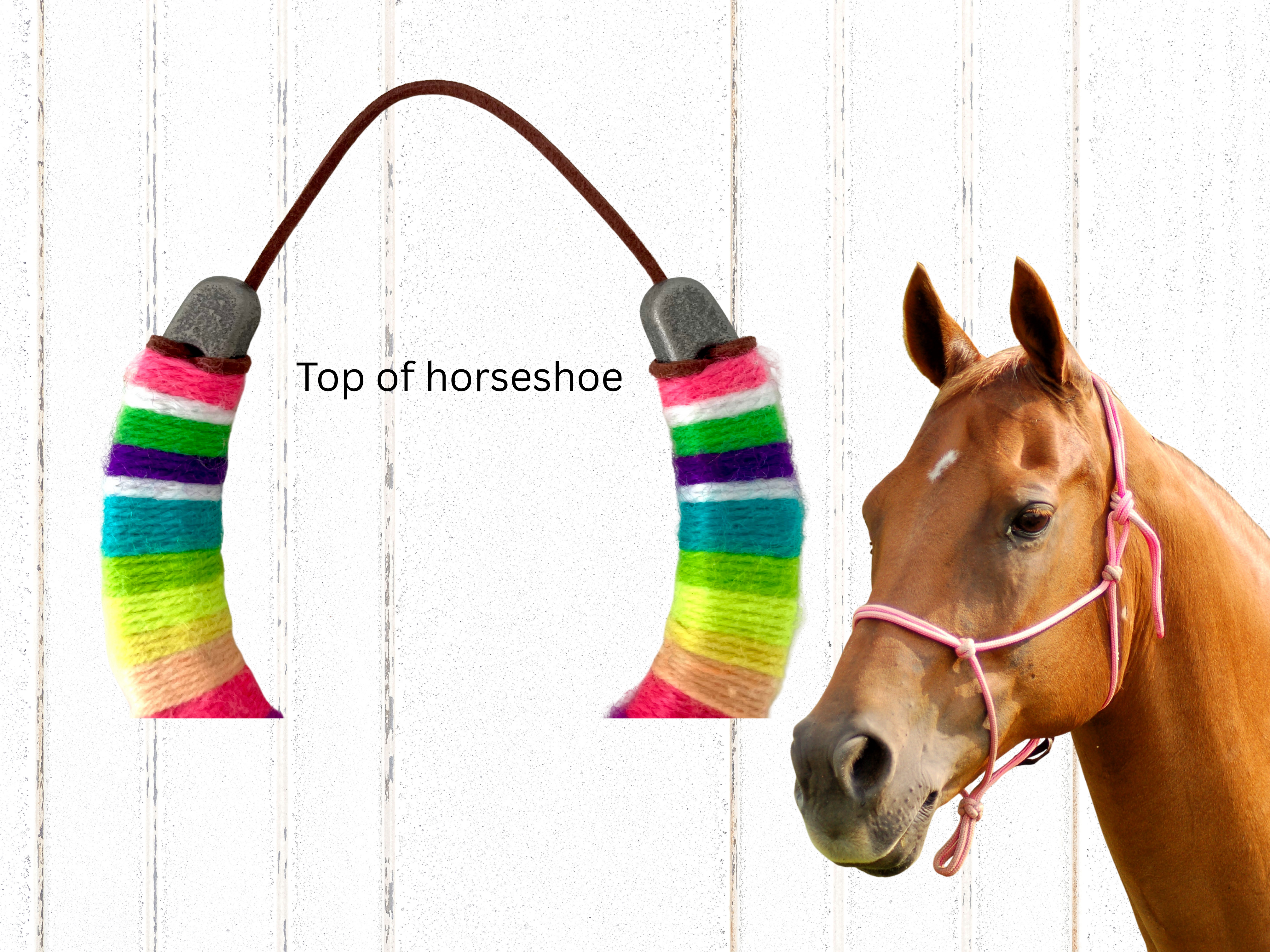 Personalised Colourful Rustic Wool Wrapped Horseshoe Country Wall or Door Decor