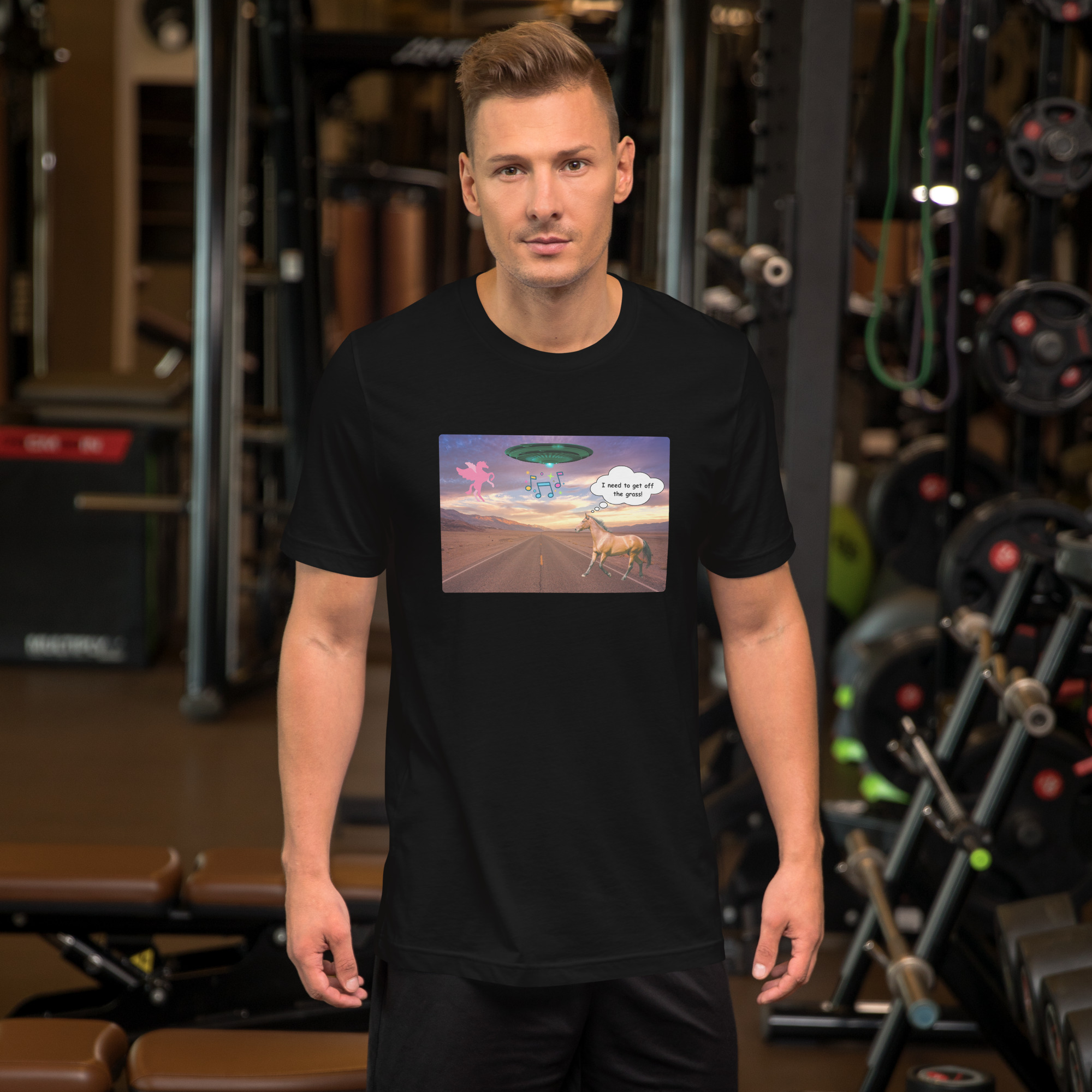 Funny Horse sees UFO 