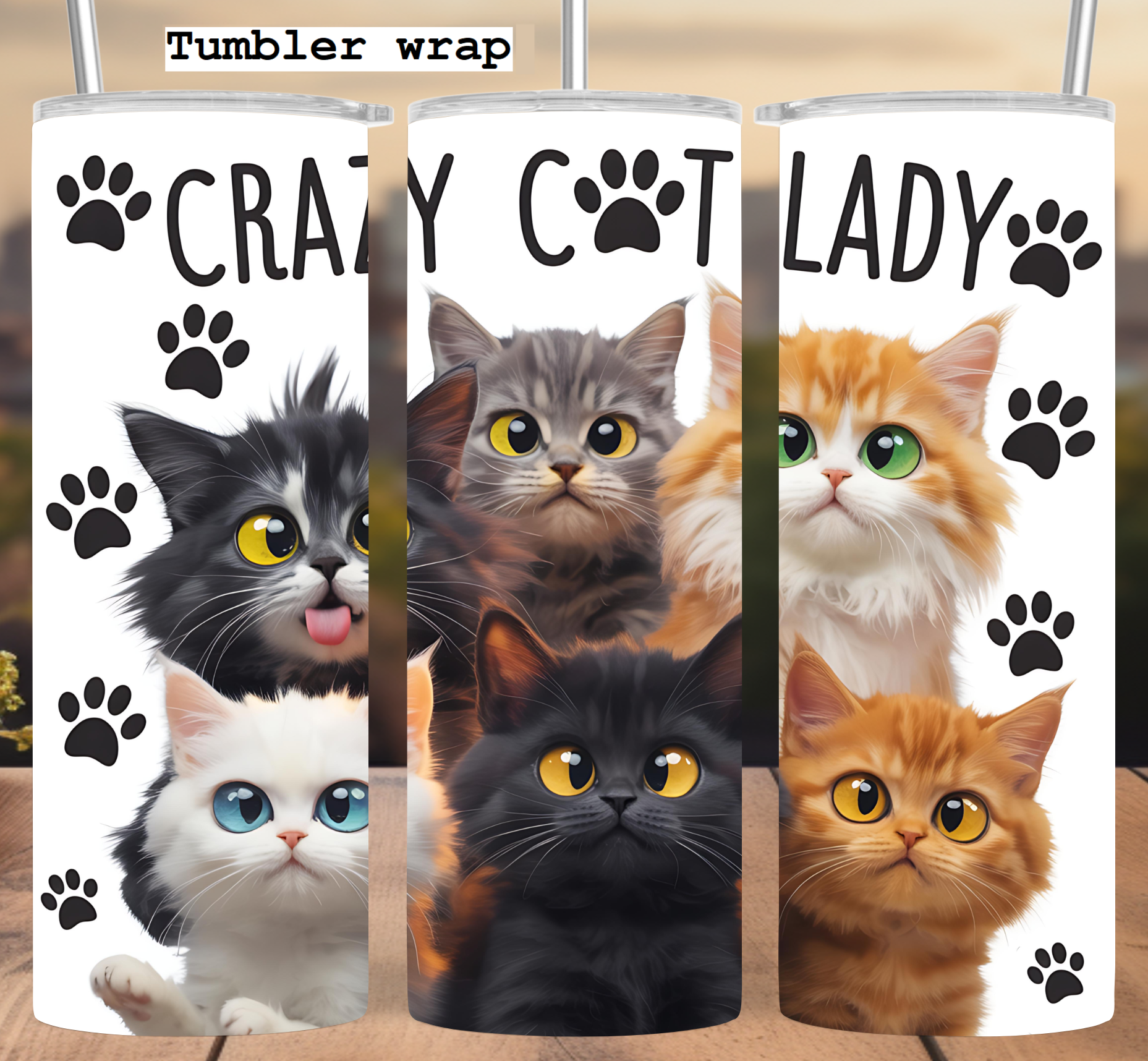 Cats Tumbler Wrap Cat Lovers Skinny 20 oz Tumbler Sublimation Design Funny Cat Tumbler PNG, Digital Download