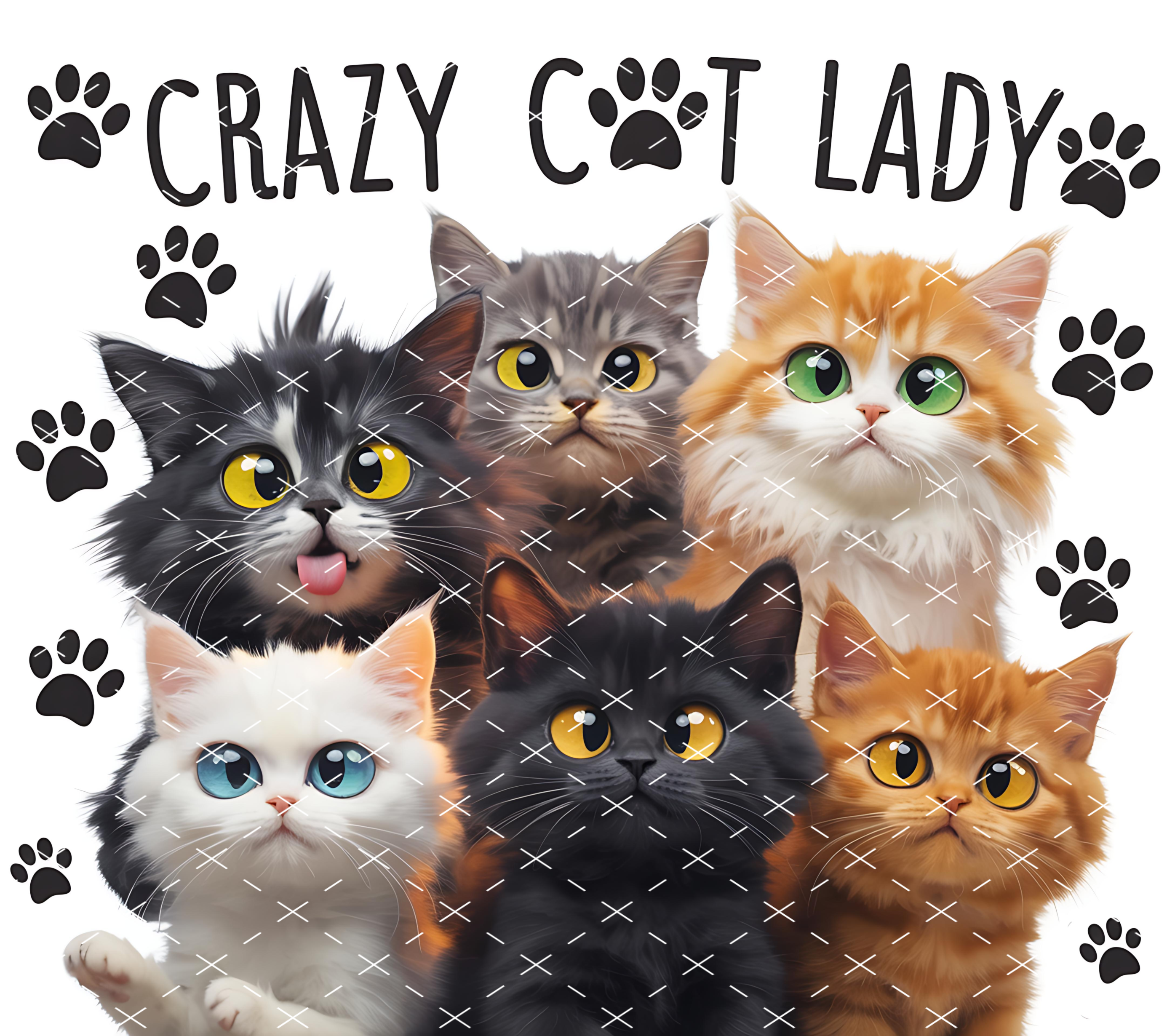 Cats Tumbler Wrap Cat Lovers Skinny 20 oz Tumbler Sublimation Design Funny Cat Tumbler PNG, Digital Download