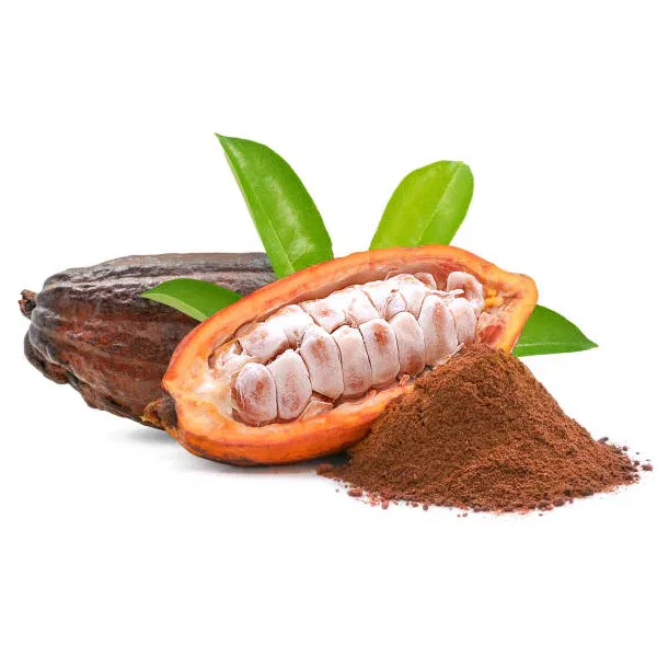 cacao extract
