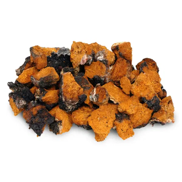 Chaga extract