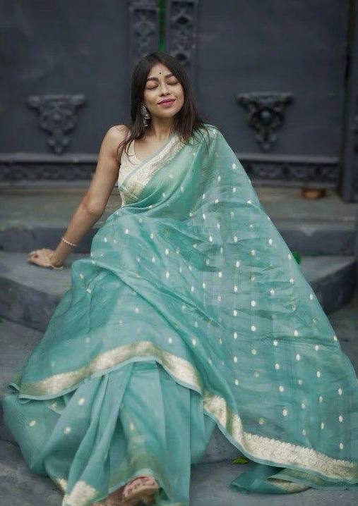 Elegant Light Blue Saree