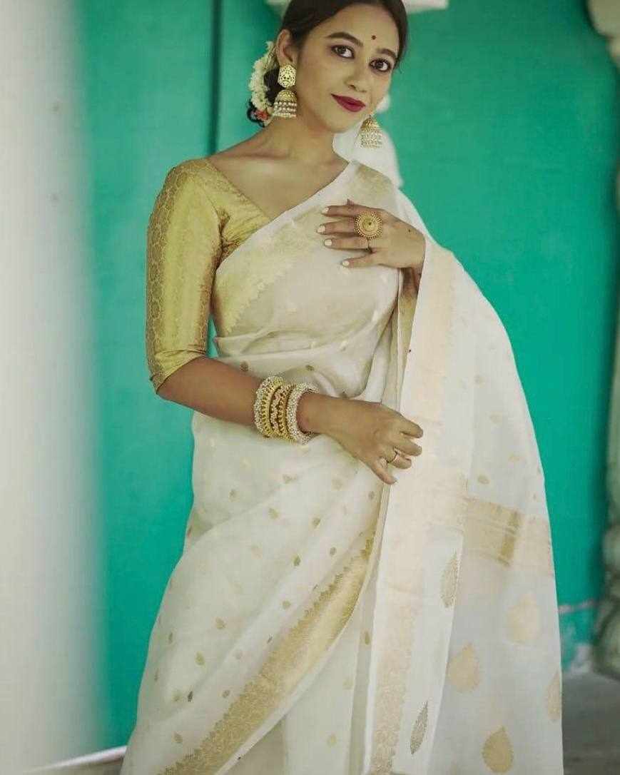 Elegant White Saree