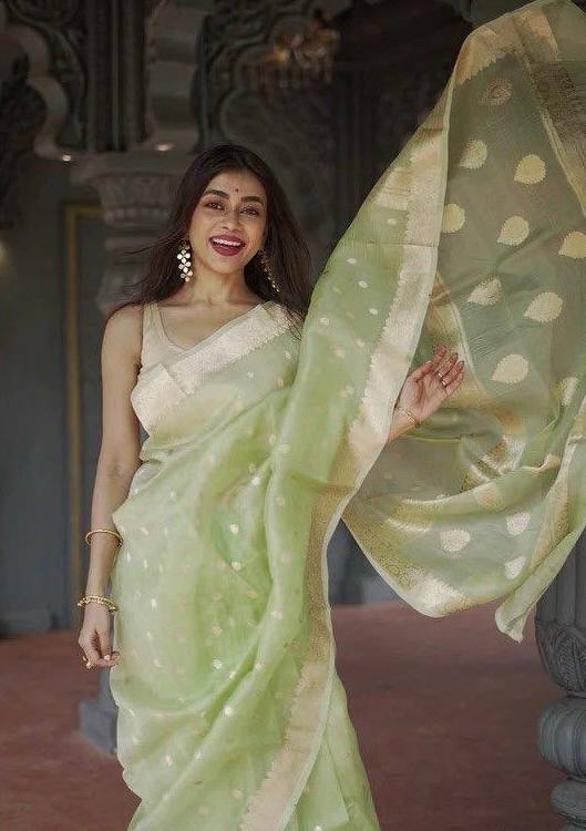 Elegant Light Green Saree
