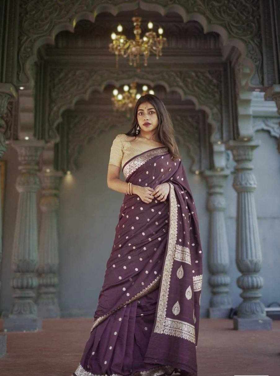 Embroidered Plum Saree