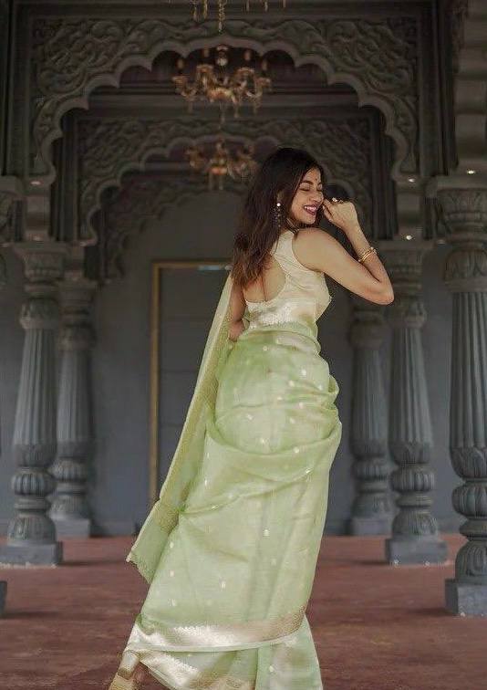 Elegant Light Green Saree