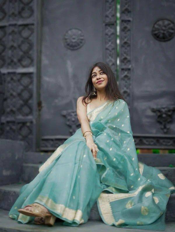Elegant Light Blue Saree