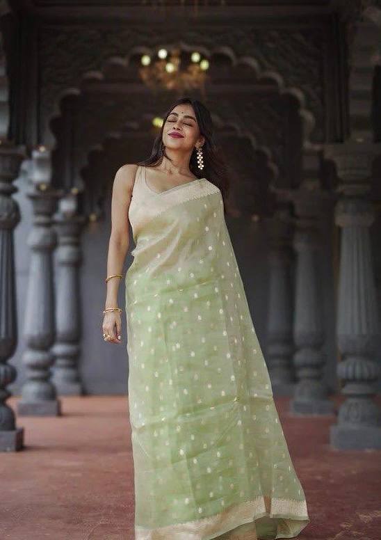 Elegant Light Green Saree