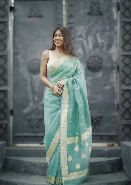 Elegant Light Blue Saree