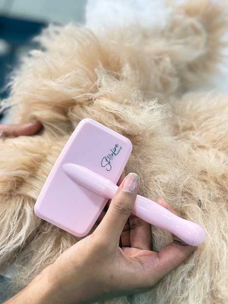 Petsburgh Slicker Brush