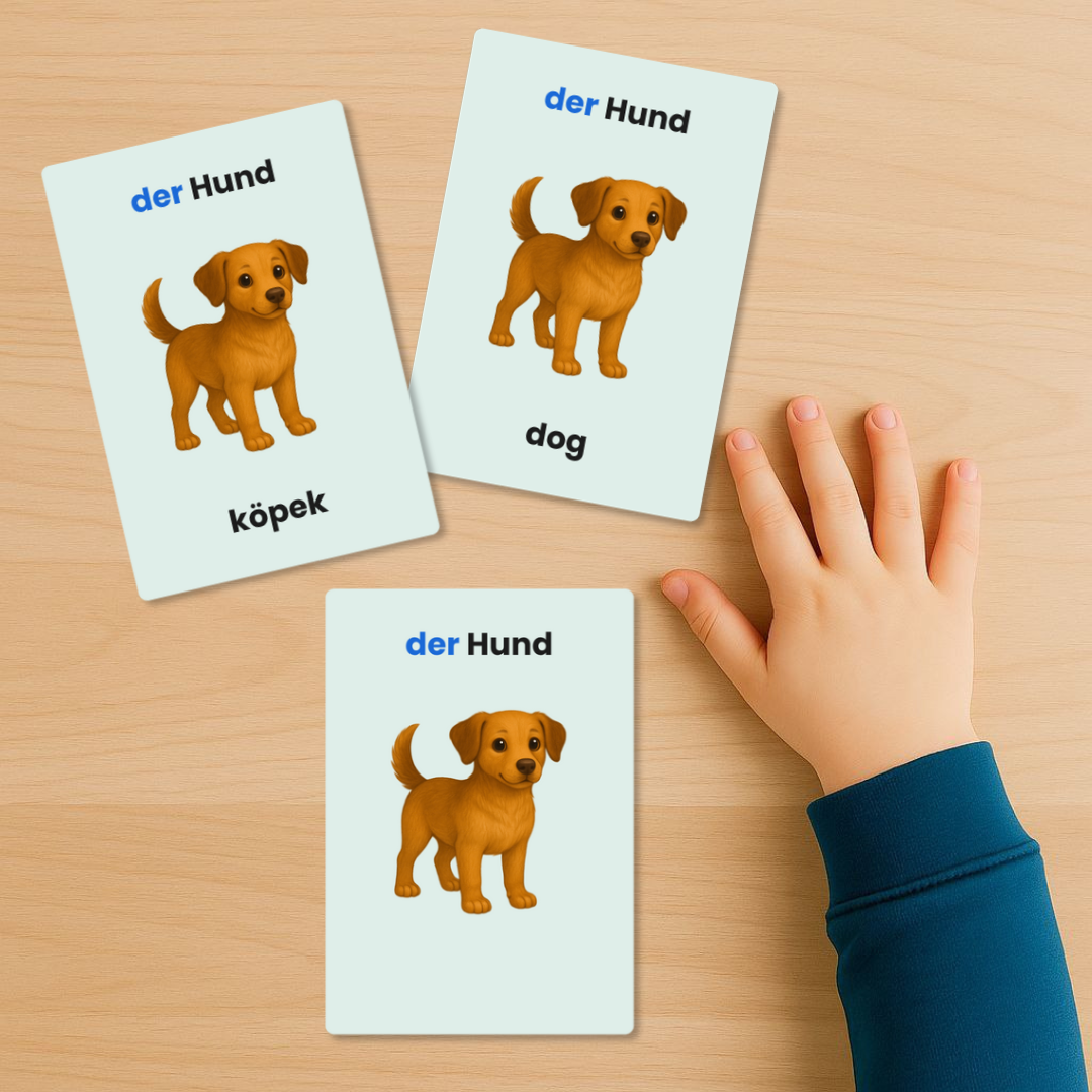 Haustiere – 12 Lernkarten | Deutsch / DE–TR / DE–EN