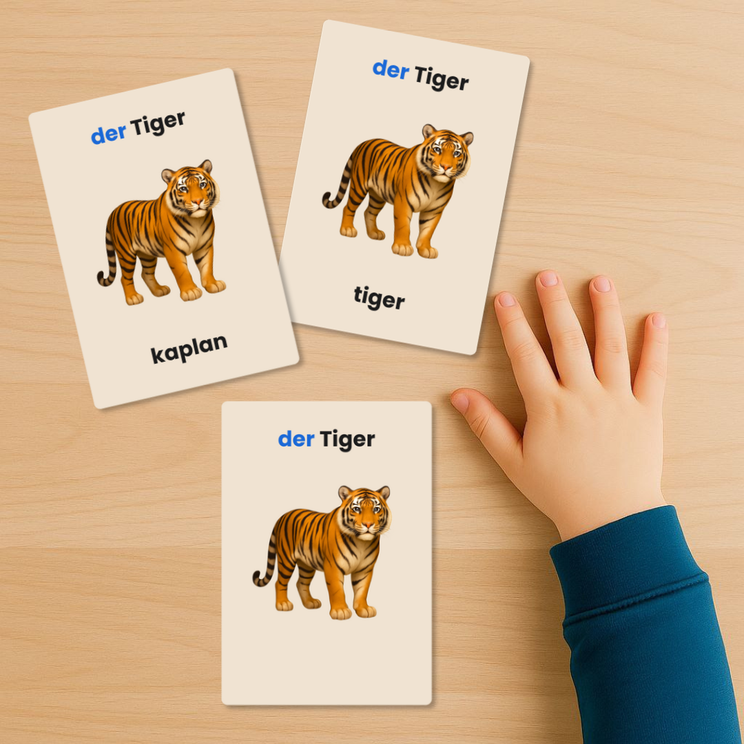 Wildtiere  – 12 Lernkarten | Deutsch / DE–TR / DE–EN