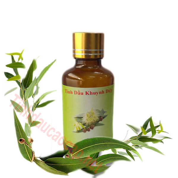 Tinh dầu khuynh diệp