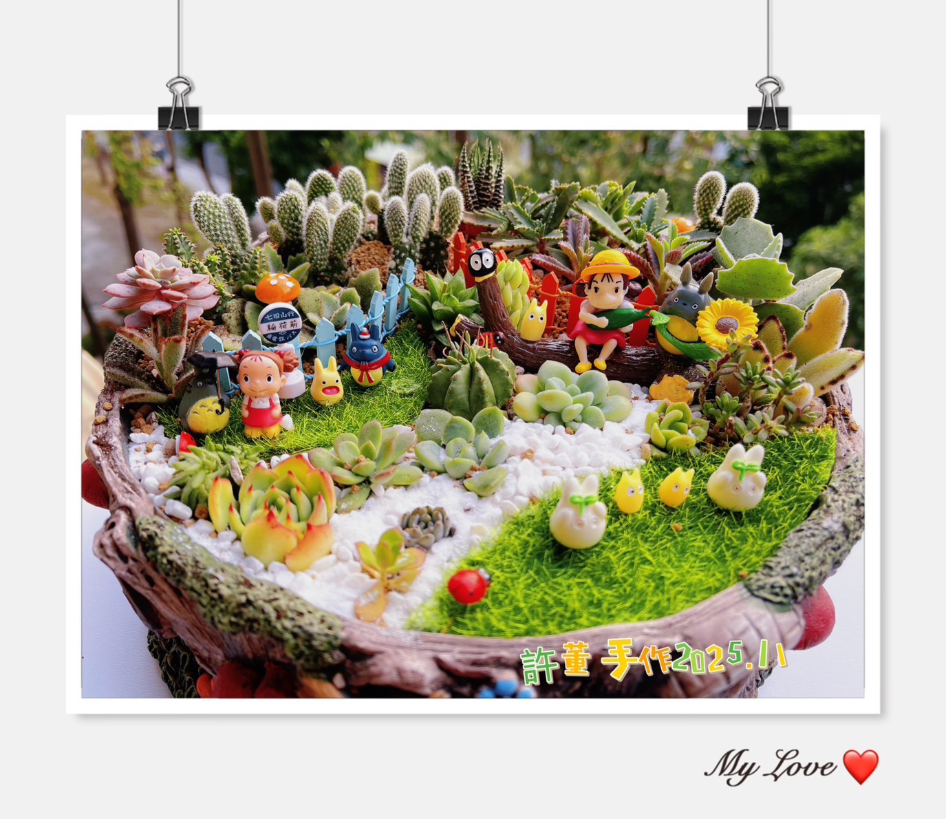 多肉組盆(限量)