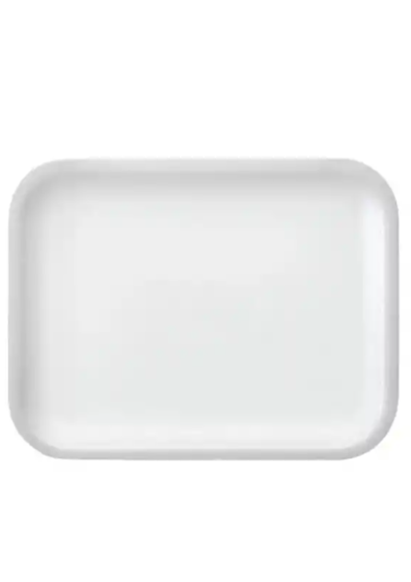 BANDEJA #3 *20 UNIDADES