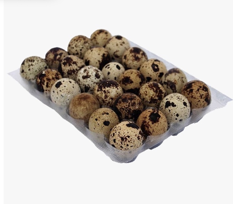 HUEVOS DE CODORNIZ* 24und