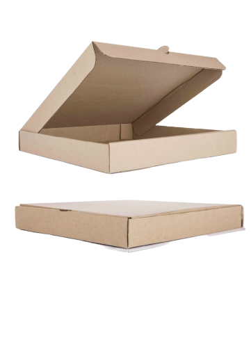 CAJA MICRO CORRUGADA 50*50 SXL