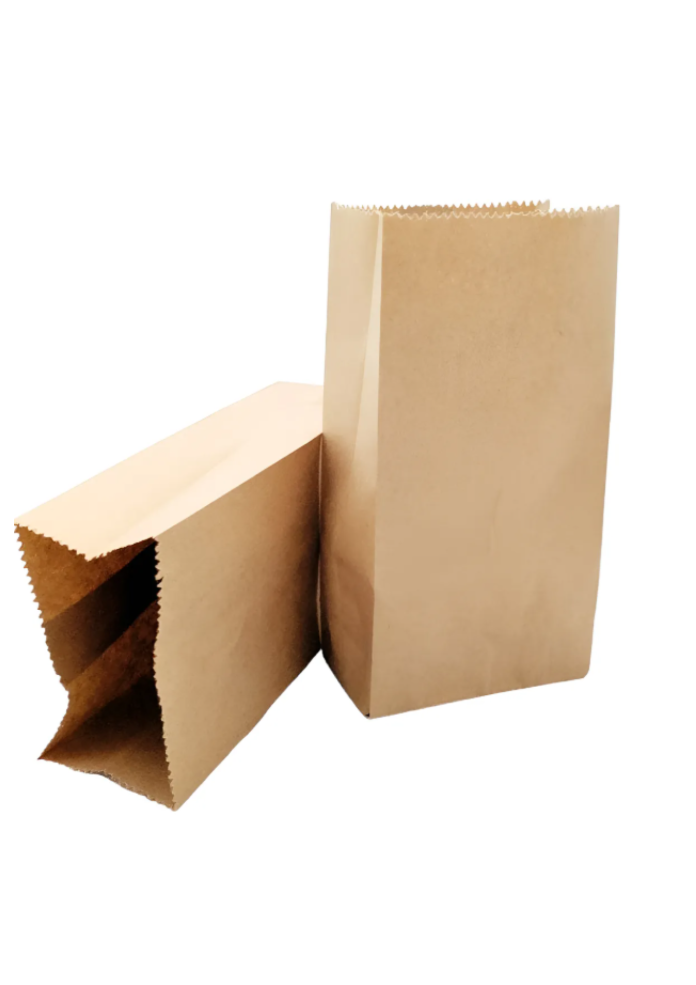 BOLSA PAPEL #6 *100 UNIDADES UNIBOL