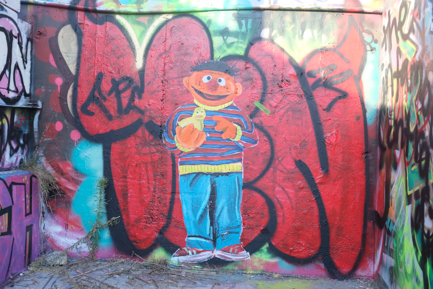 Ernie from Sesame Street