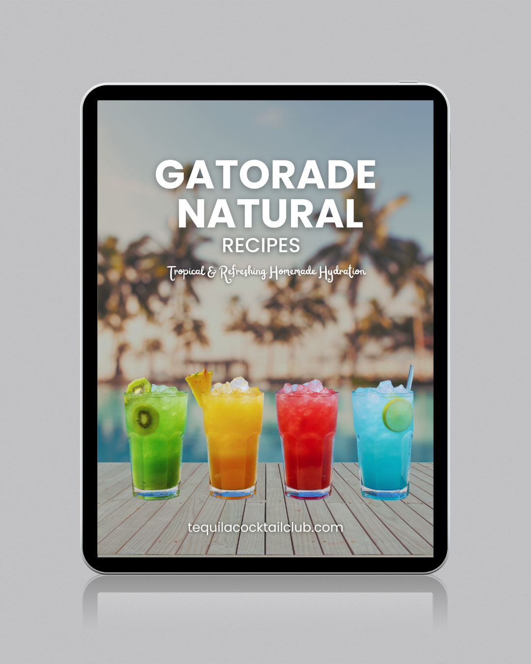 GATORADE NATURAL