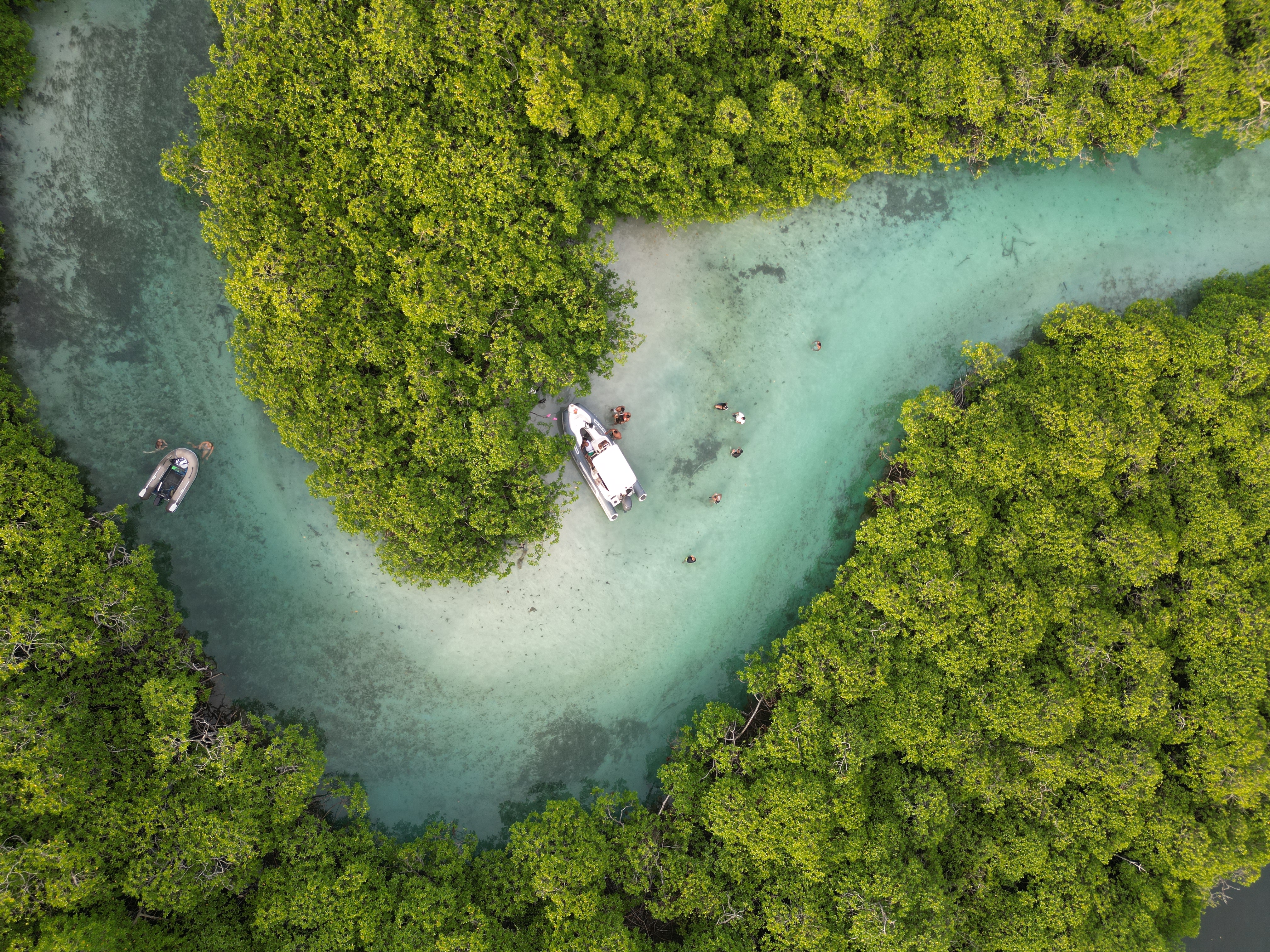 Pasadía full experience: ISLA MAMEY