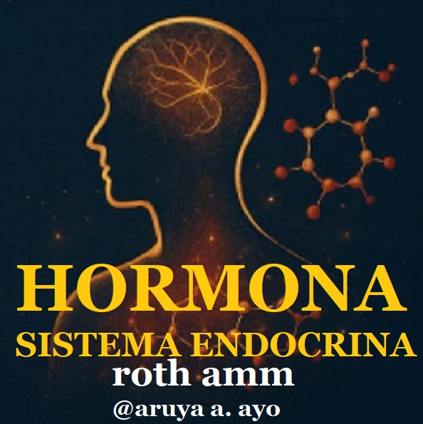 Hormona Sistema Endocrina