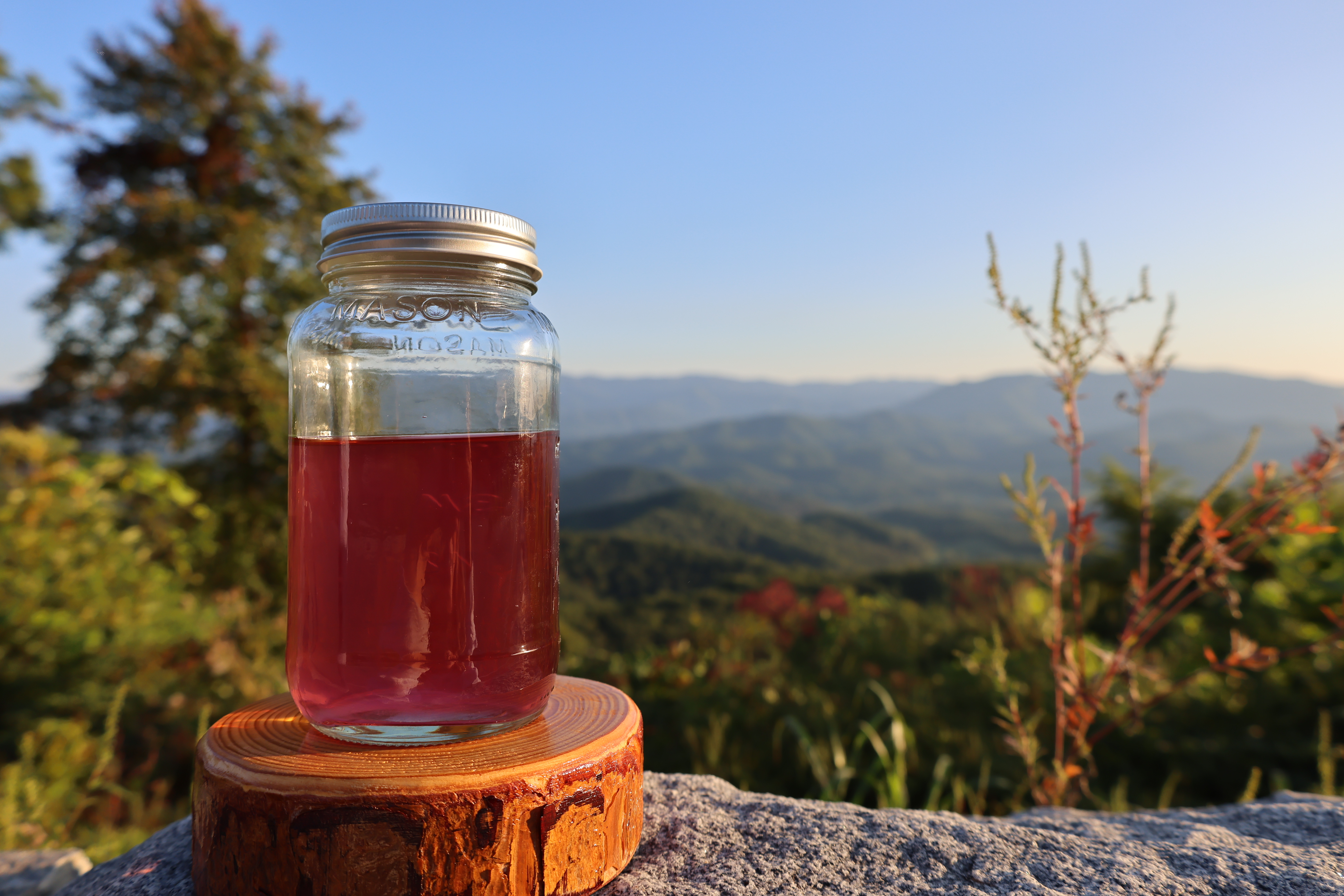 Watermelon Gelato 100MG Jar