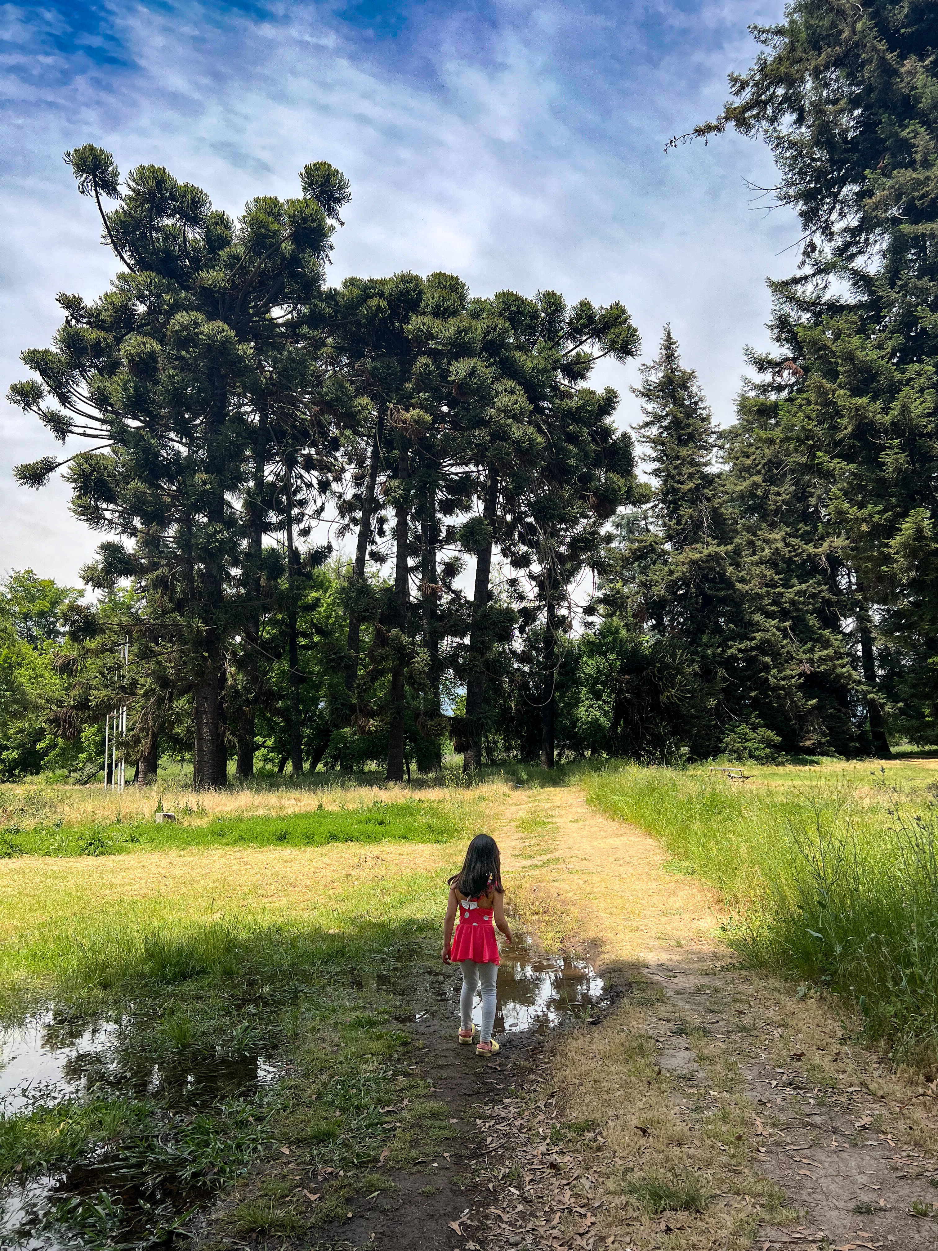 Full Day Naturaleza Familiar (13 de Diciembre)