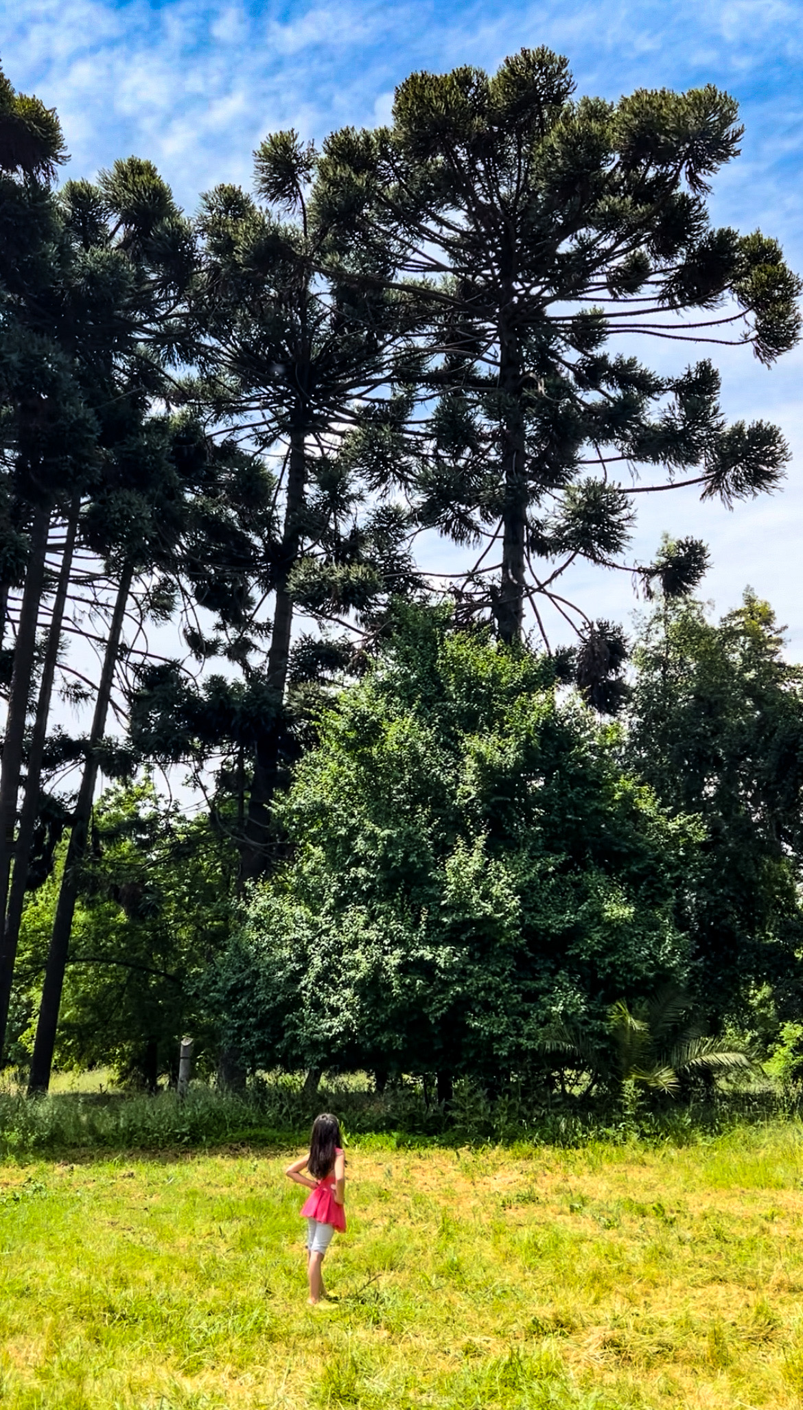 Full Day Naturaleza Familiar (13 de Diciembre)