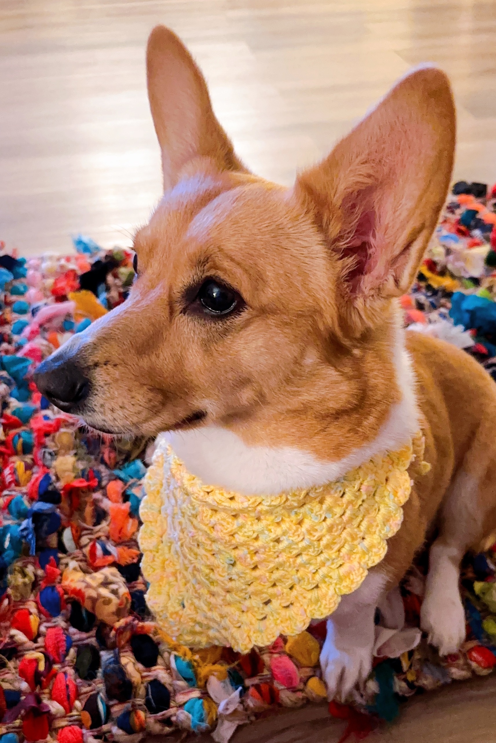 Handmade Crochet Dog Bandana (YELLOW)
