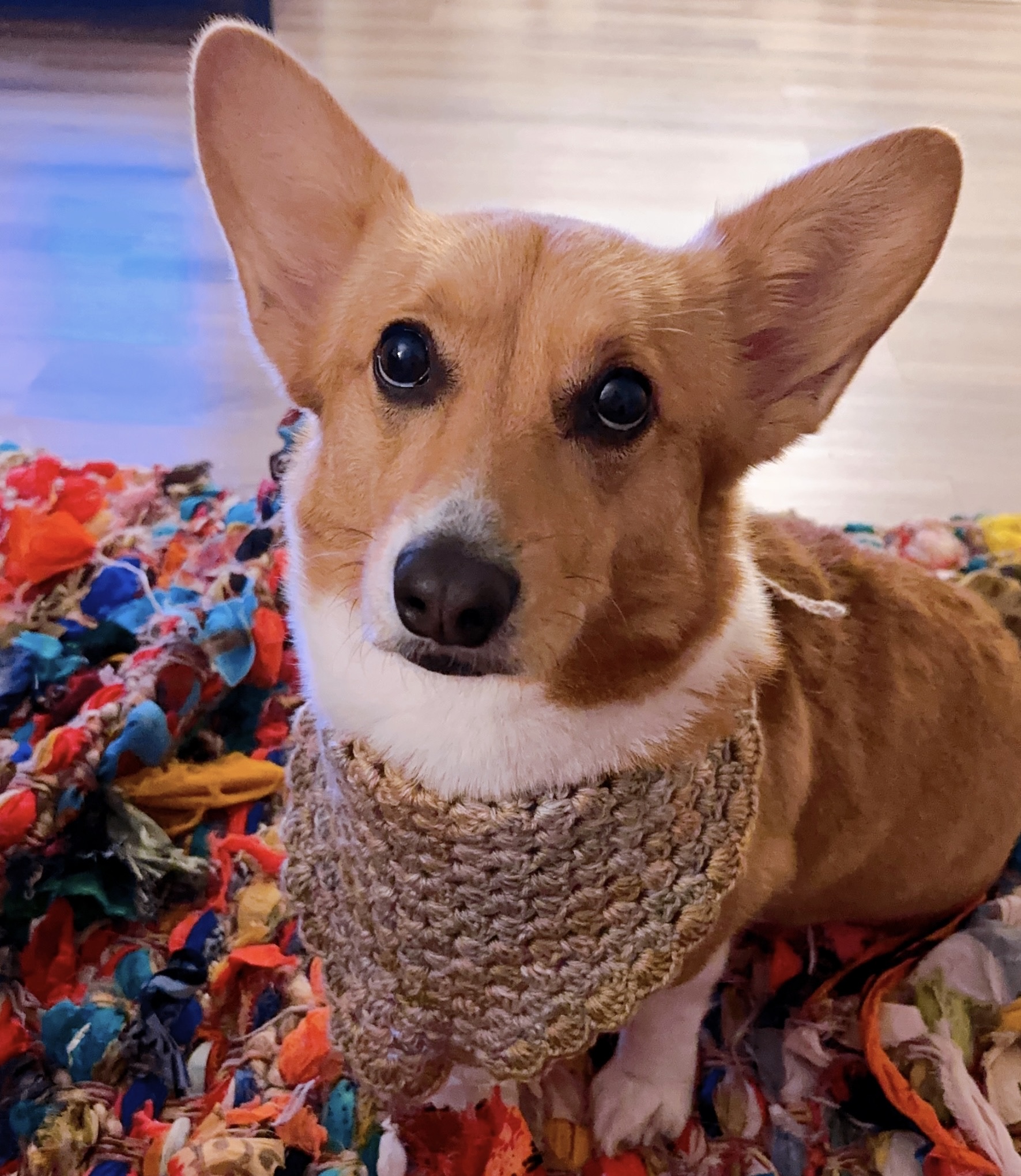 Handmade Crochet Dog Bandana (BROWN)
