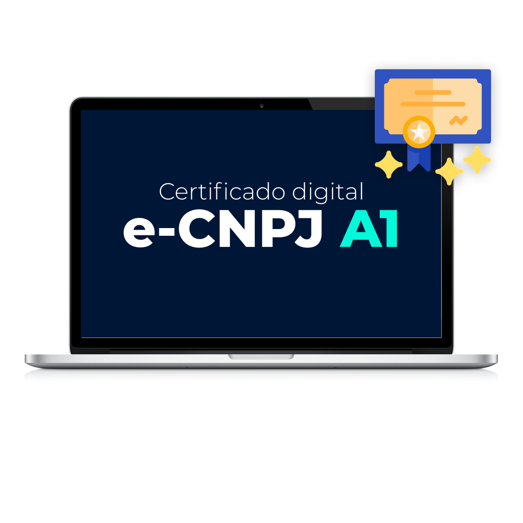 E-CNPJ A1 - 1 ANO
