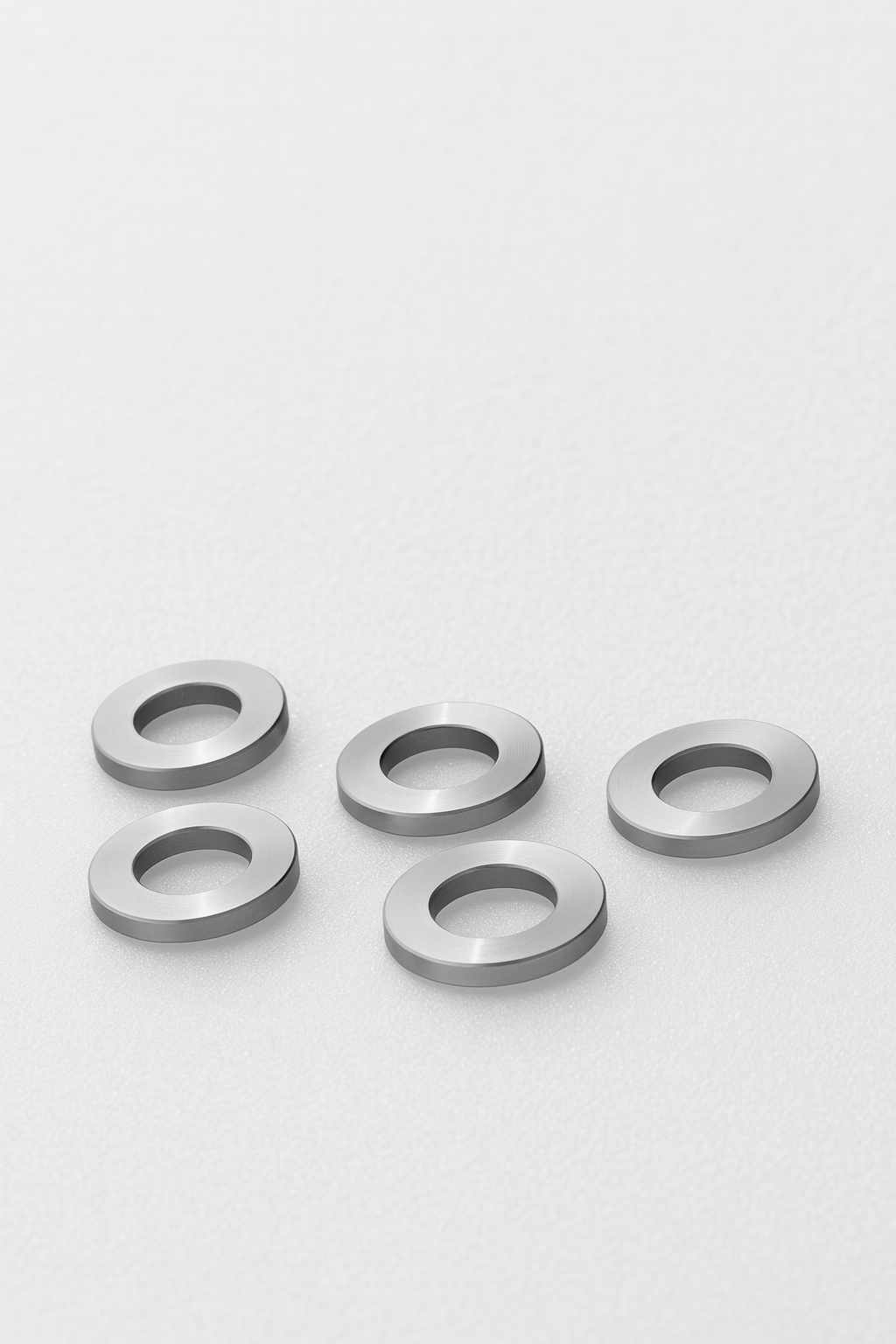 DISK WASHER BPF-3350/700-18  [ 2 NOS IN PKT]