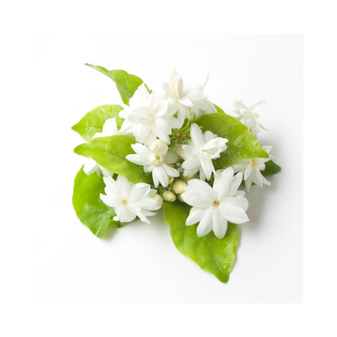 Jasmine Hydrosol