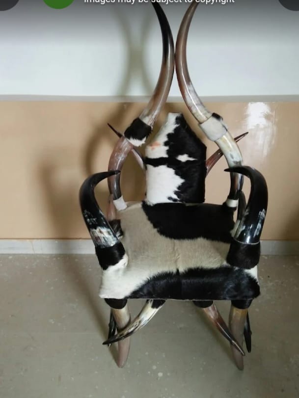 Handcrafted Cowhide and Horn Chair