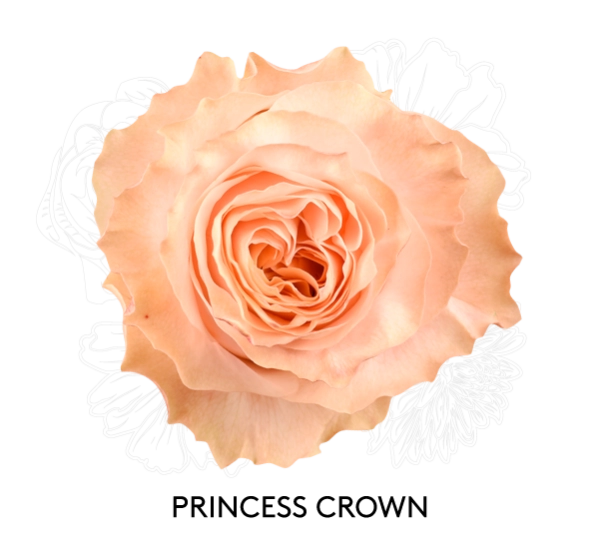PRINCESS CROWN