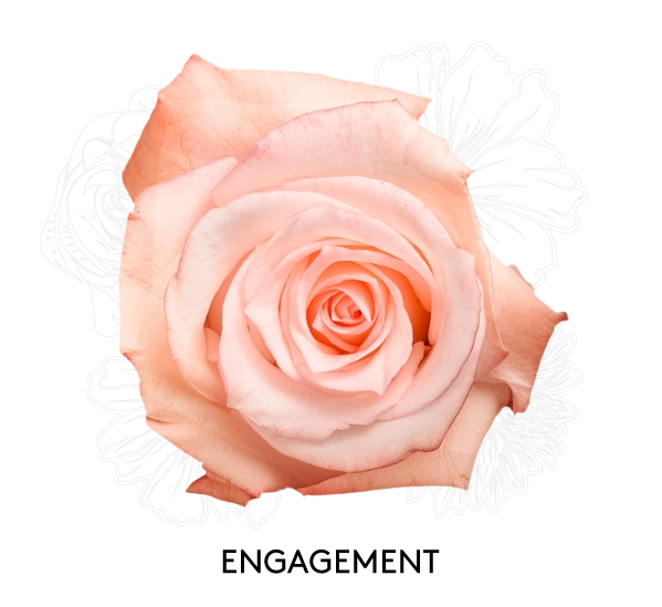ENGAGEMENT