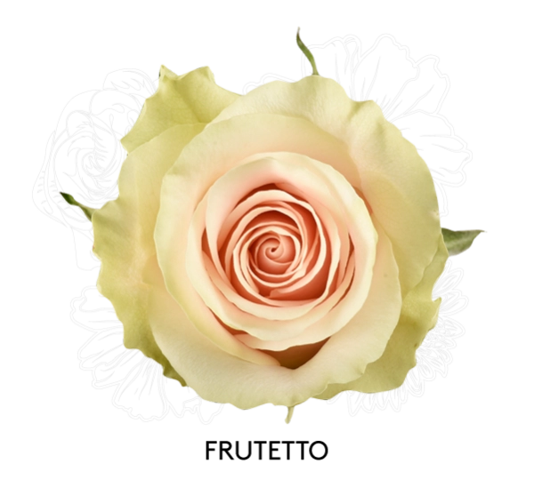 FRUTETTO